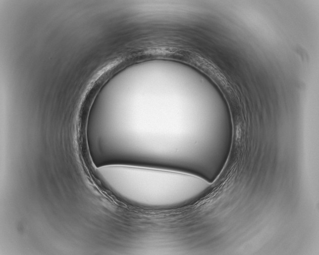 X0000111590724200907161152