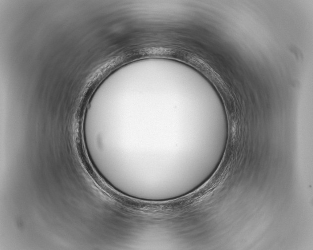 X0000111590725200907161152