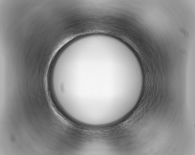 X0000111590726200907161152