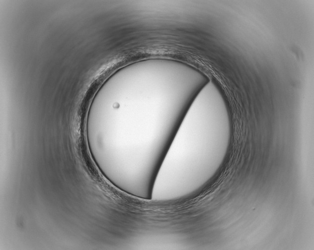 X0000111590727200907161152