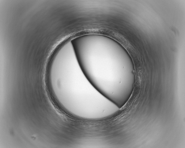 X0000111590728200907161152
