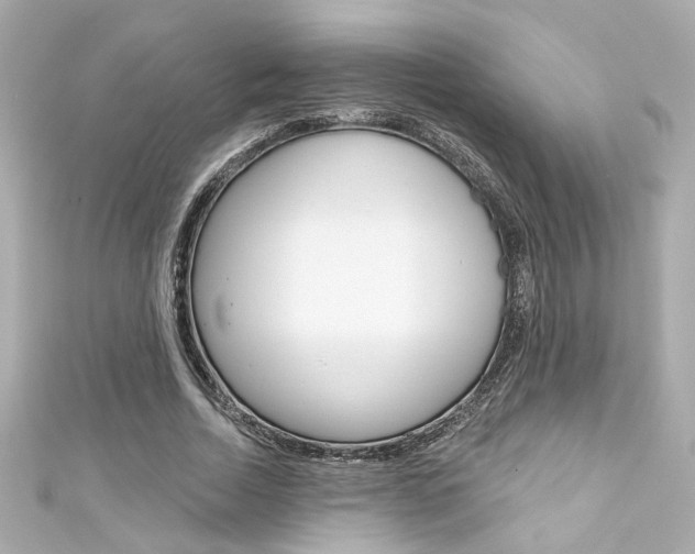 X0000111590730200907161152