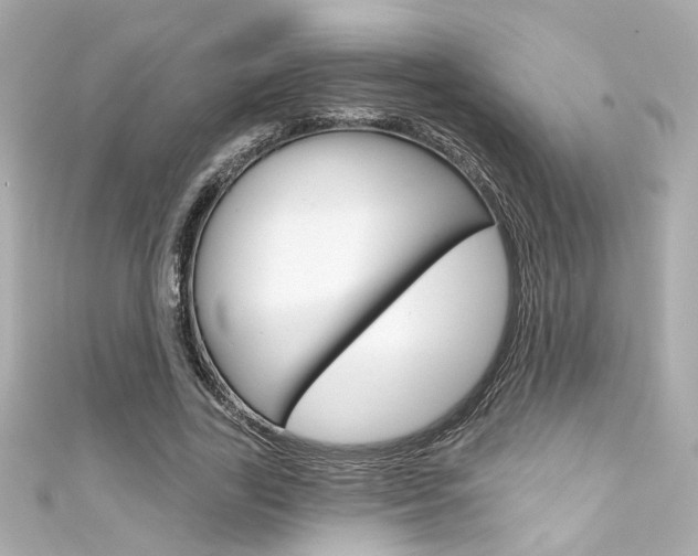 X0000111590731200907161152