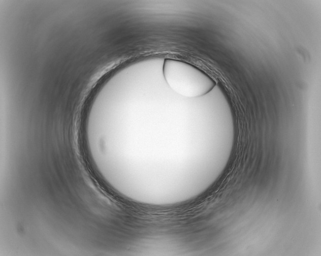 X0000111590732200907161152