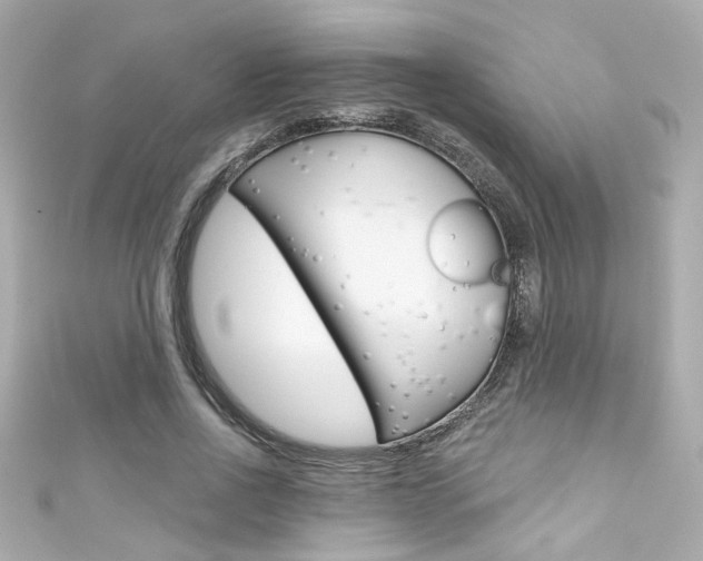 X0000111590734200907161152
