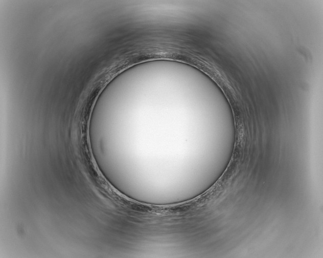 X0000111590736200907161152