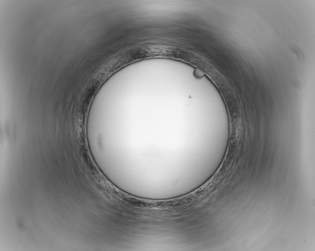 X0000111590737200907161152