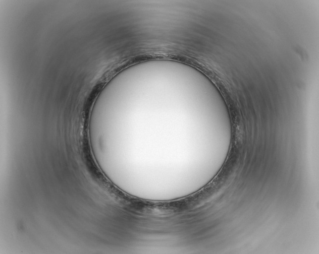 X0000111590739200907161152