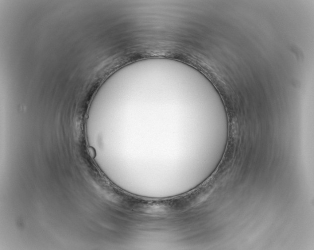 X0000111590741200907161153