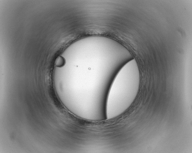 X0000111590743200907161153