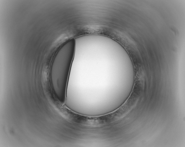 X0000111590744200907161153