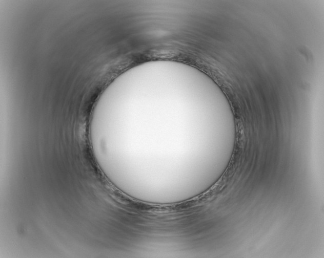 X0000111590745200907161153