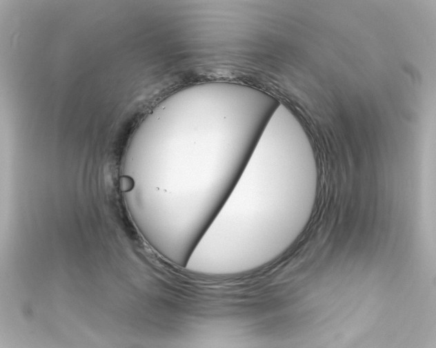 X0000111590747200907161153