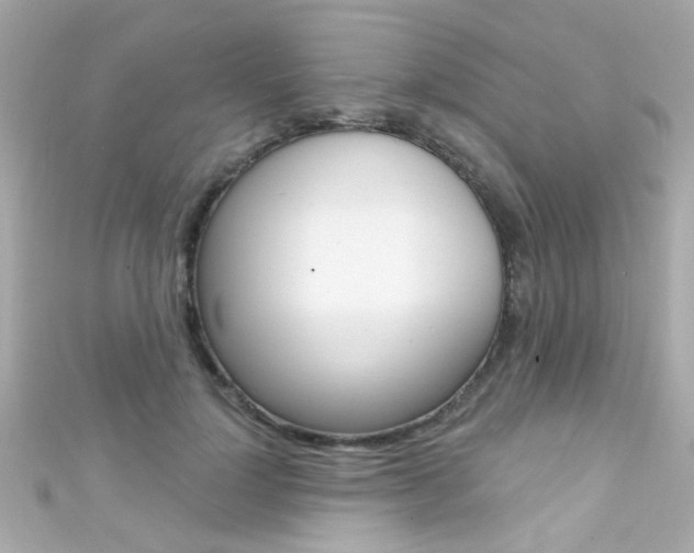 X0000111590748200907161153