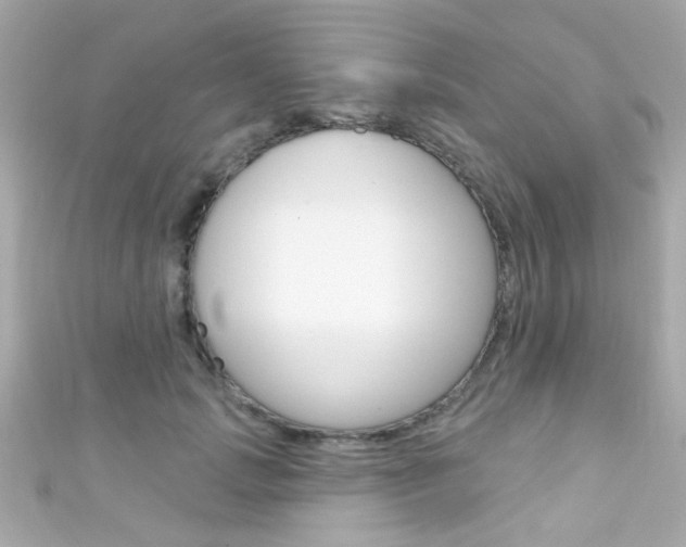 X0000111590749200907161153