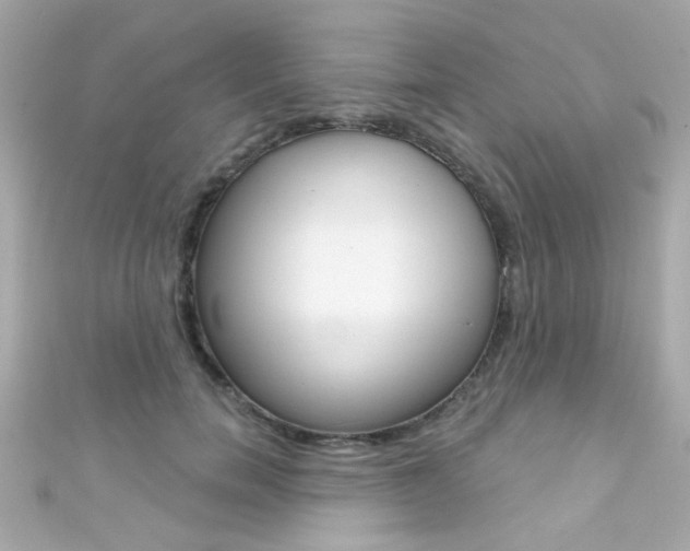X0000111590750200907161153