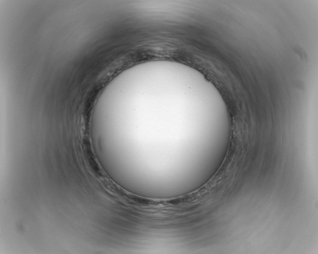 X0000111590752200907161153
