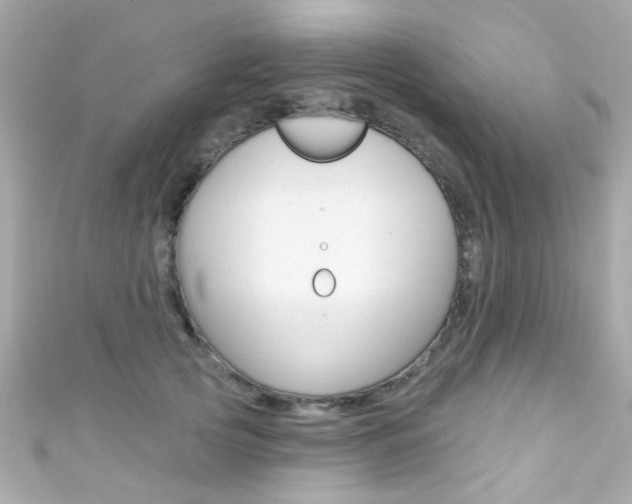 X0000111590753200907161153