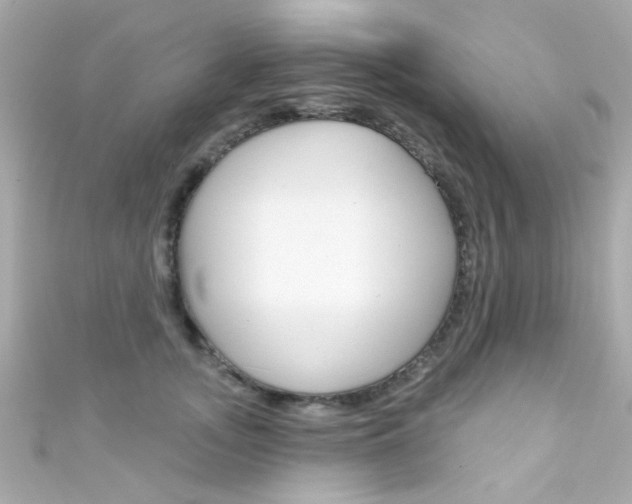 X0000111590755200907161153