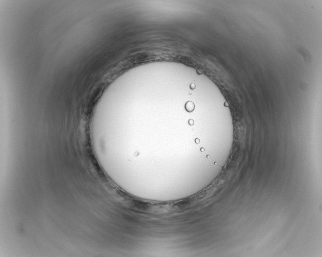 X0000111590757200907161153