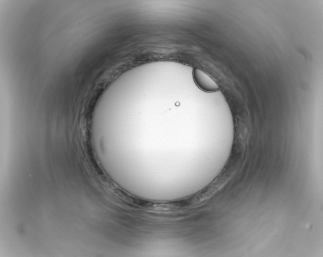 X0000111590758200907161153