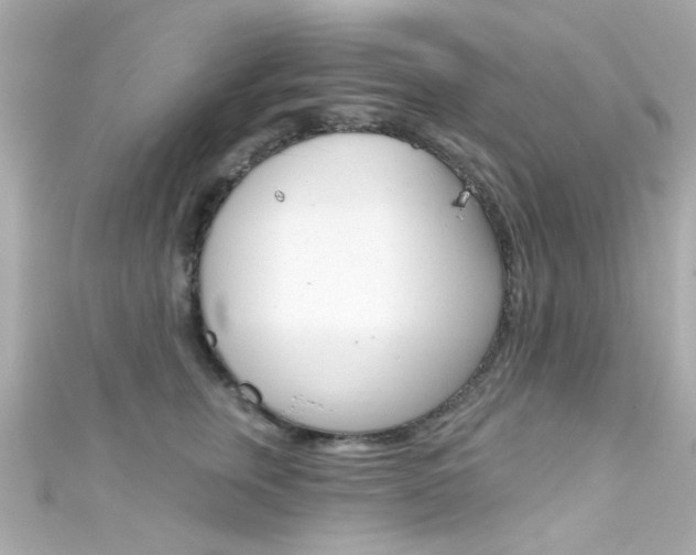 X0000111590759200907161153