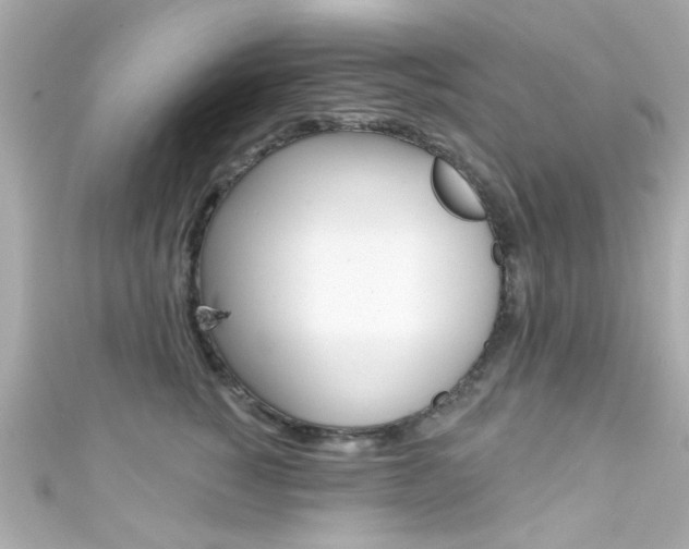X0000111590760200907161153