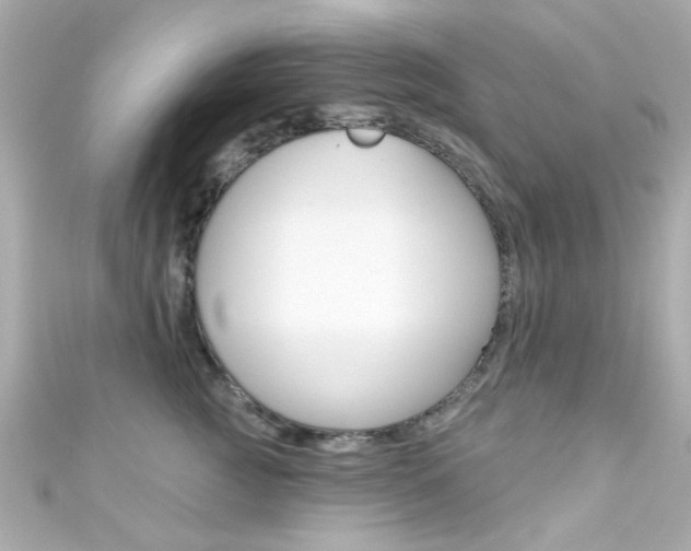X0000111590761200907161153