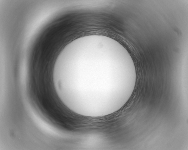 X0000111590764200907161153