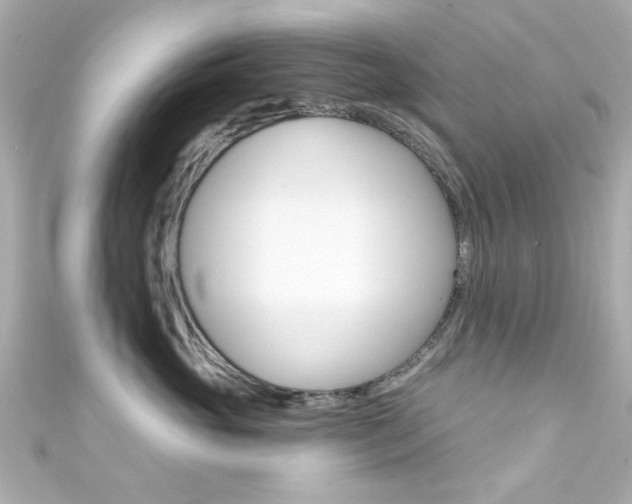 X0000111590765200907161153