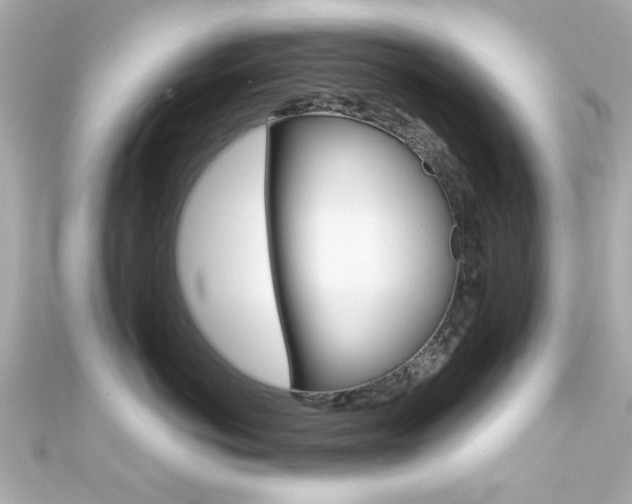 X0000111590766200907161153