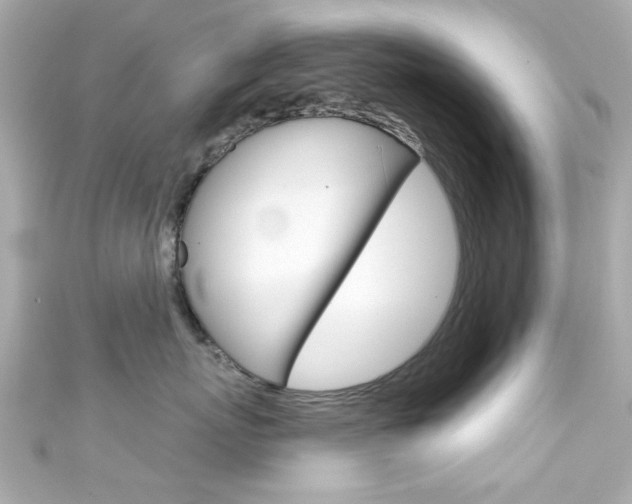 X0000111590767200907161153