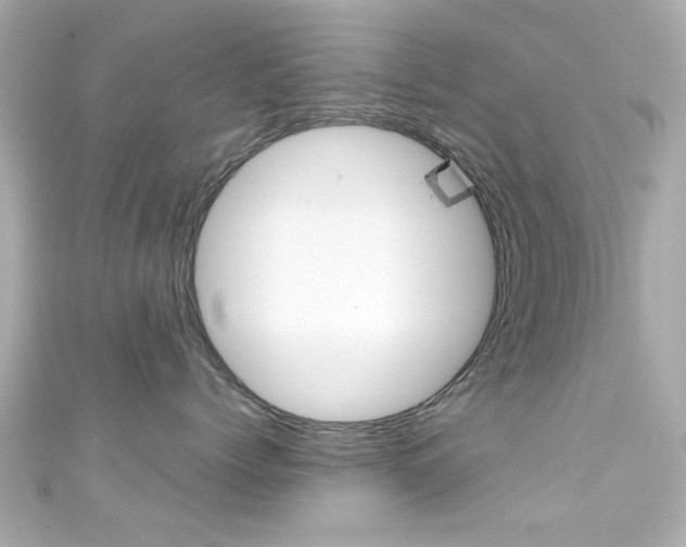 X0000111590768200907161153