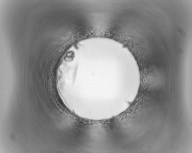 X0000111590769200907161152