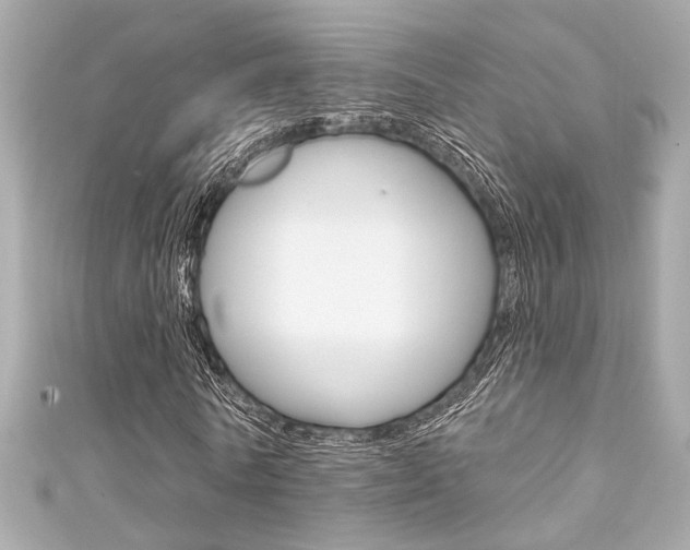 X0000111590770200907161152