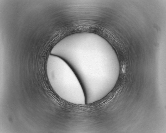 X0000111590771200907161152