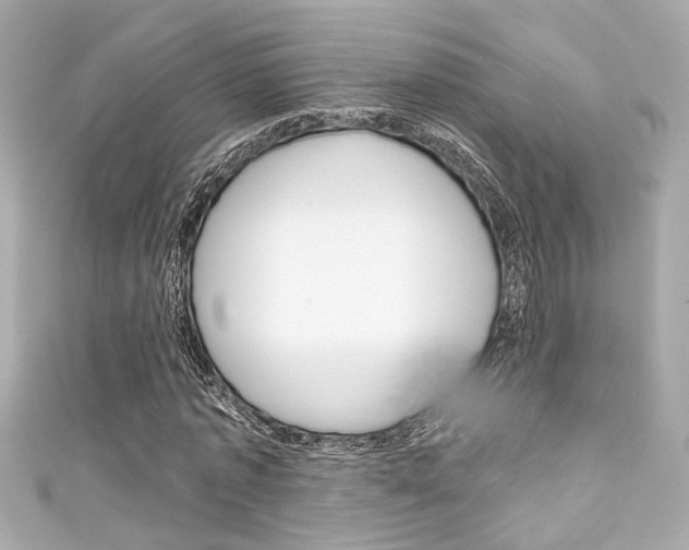 X0000111590773200907161152