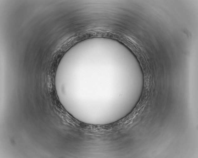 X0000111590774200907161152