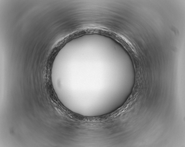 X0000111590775200907161152