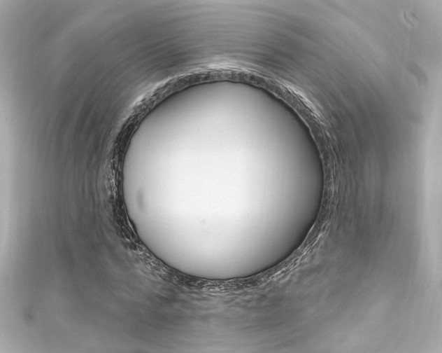 X0000111590776200907161152