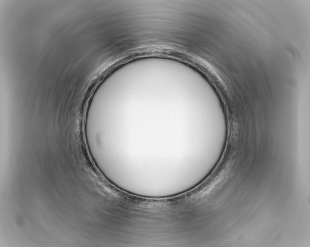 X0000111590778200907161152