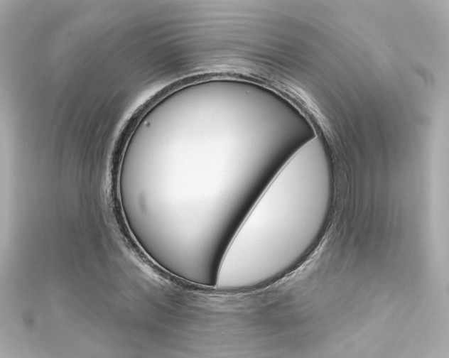 X0000111590780200907161152