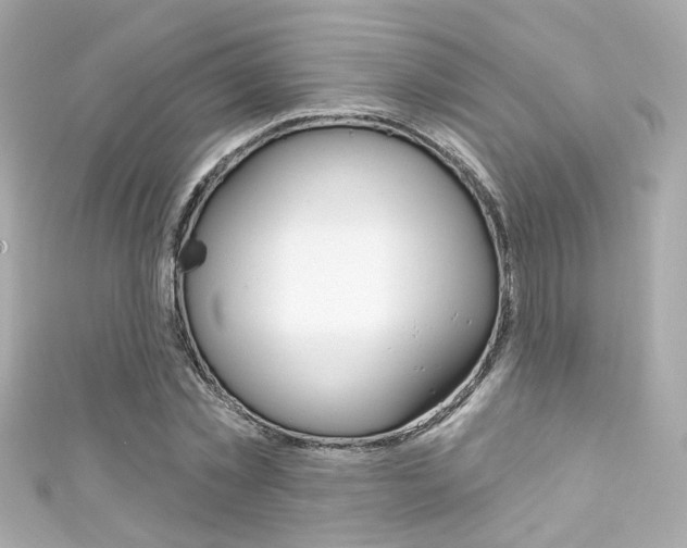 X0000111590781200907161152