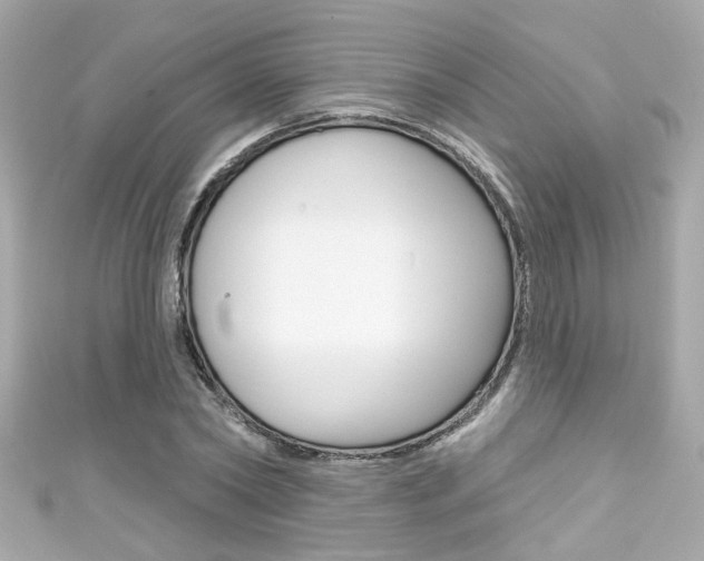 X0000111590782200907161152