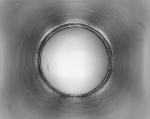 X0000111590783200907161152