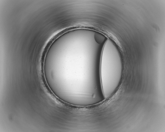 X0000111590784200907161152