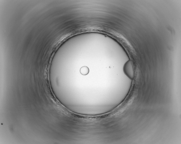 X0000111590785200907161152