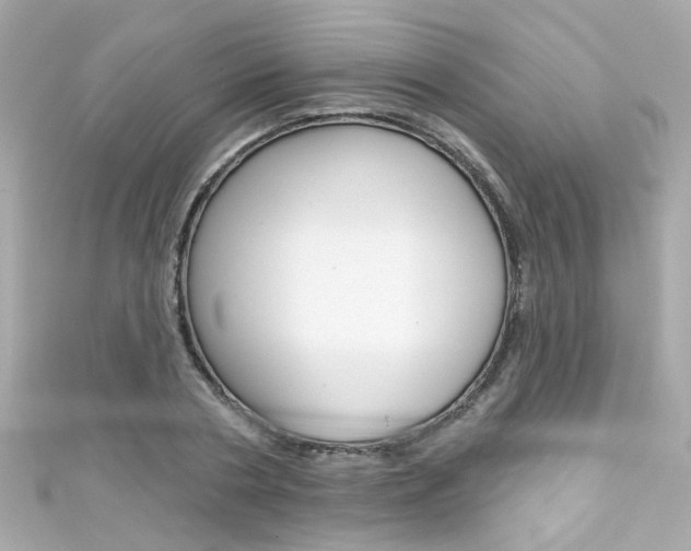 X0000111590786200907161152
