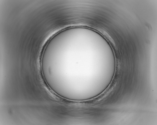 X0000111590789200907161152