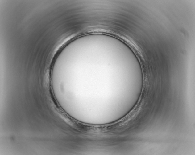 X0000111590790200907161152